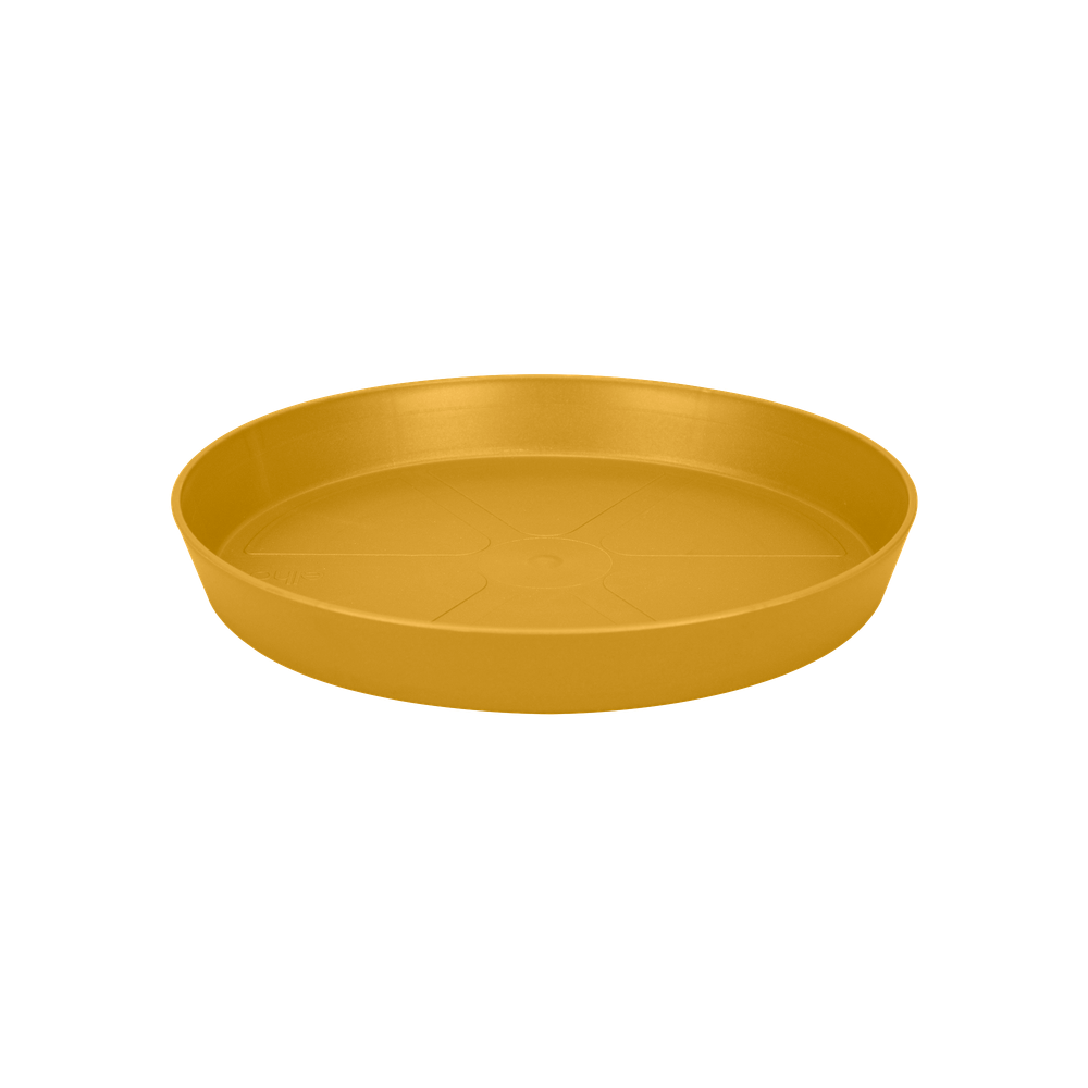 Loft Urban Saucer Round 24