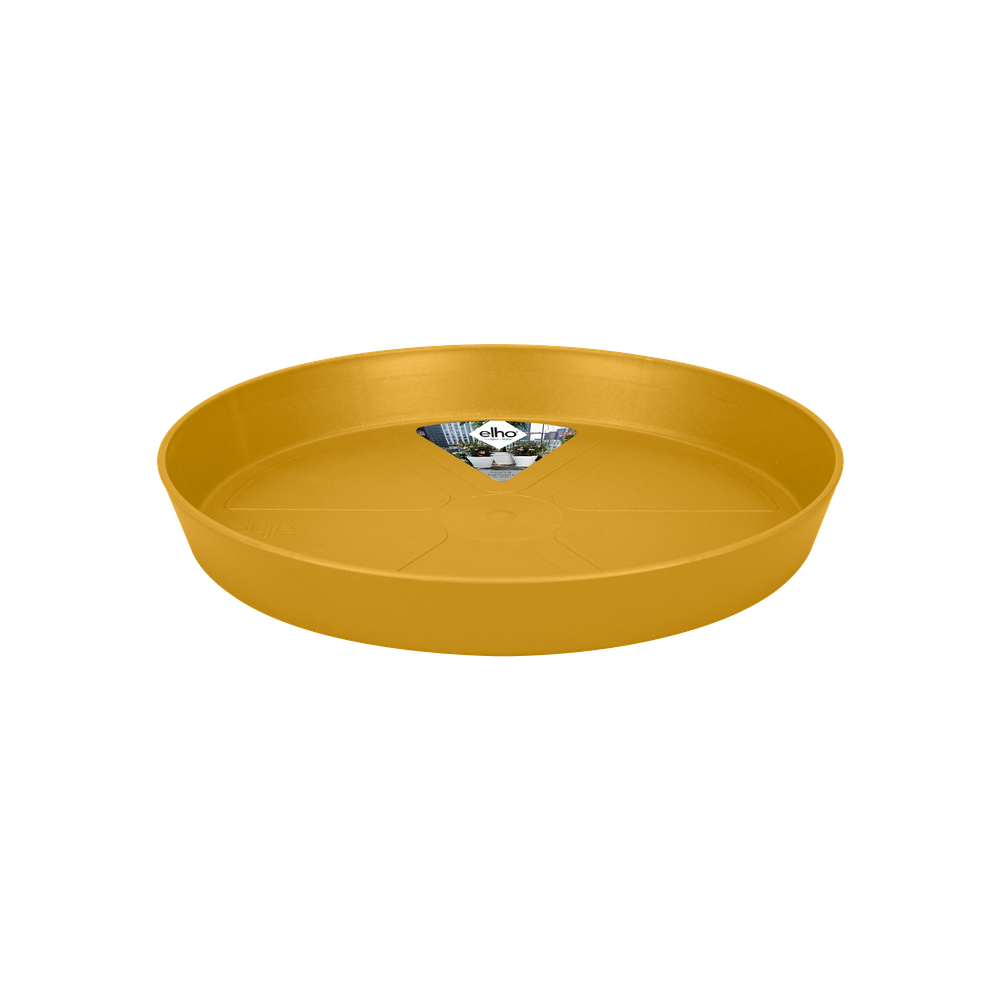 Loft Urban Saucer Round 24