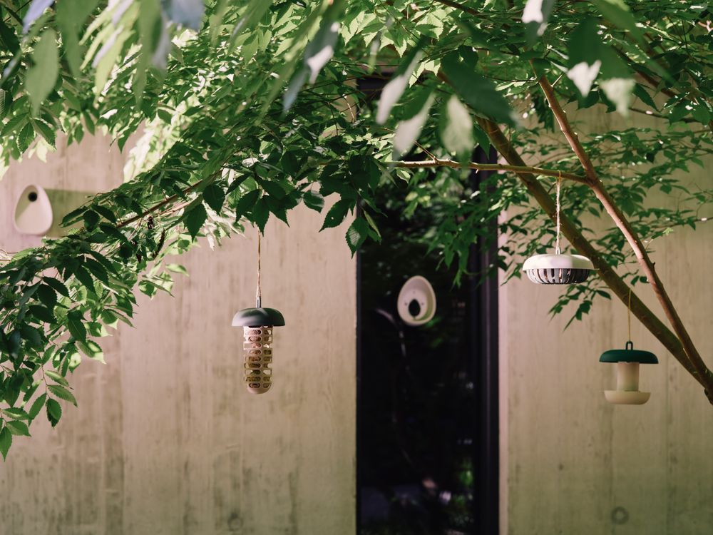 Essential Window Feeder 25