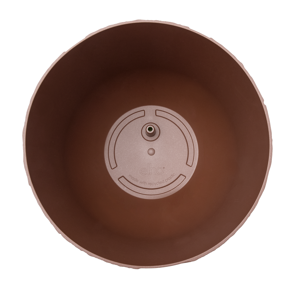 Fuente Rings Round 38
