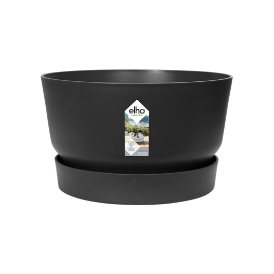 Greenville Bowl 33