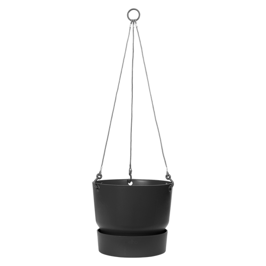 Greenville Hanging Basket 24