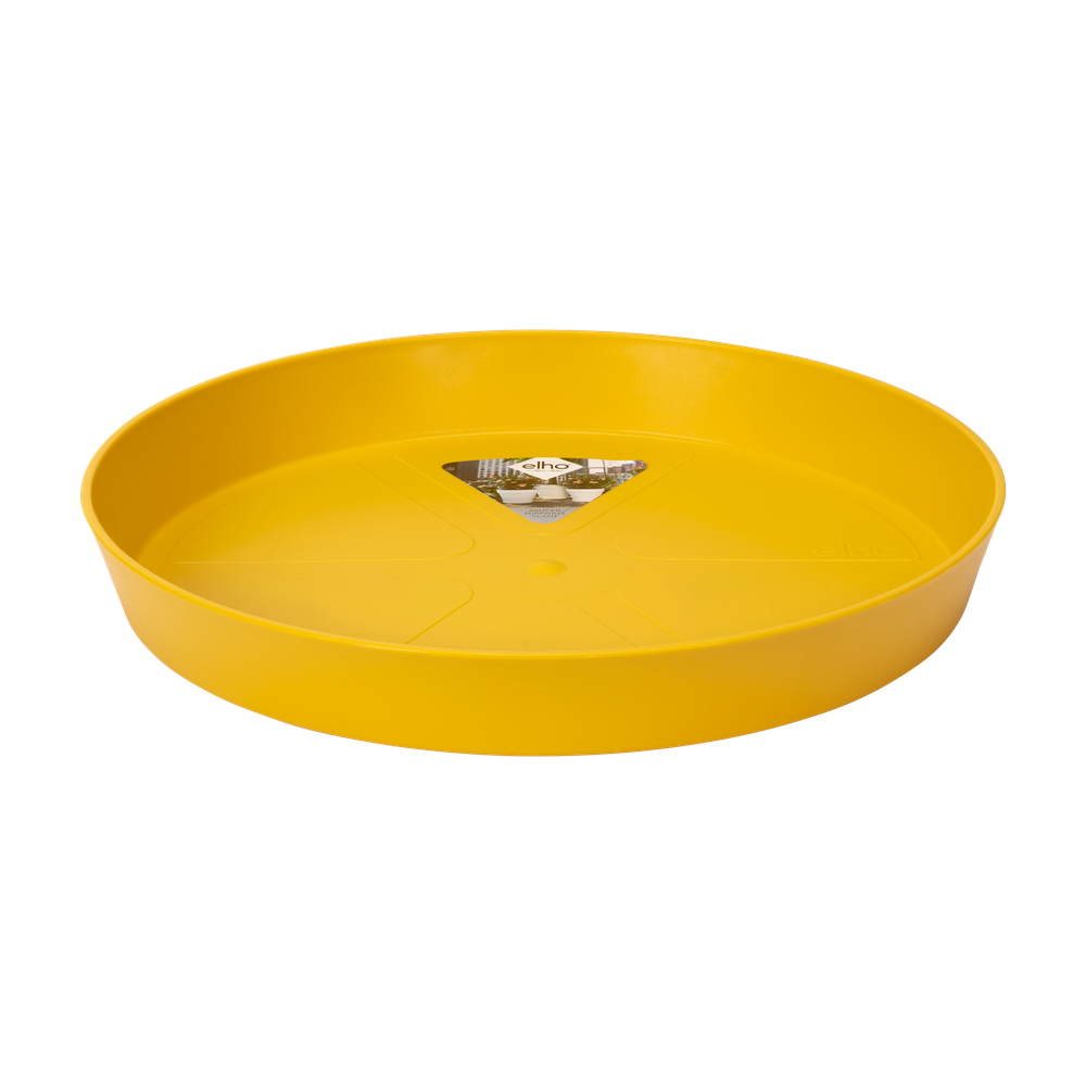 Loft Urban Saucer Round 34