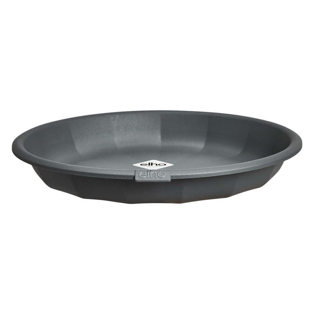 Niva Saucer Round 15