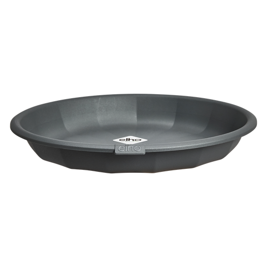 Niva Saucer Round 22