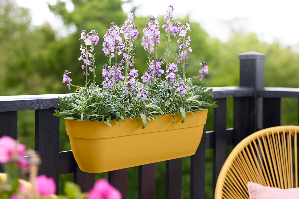 Vibia Campana Easy Hanger XL 58