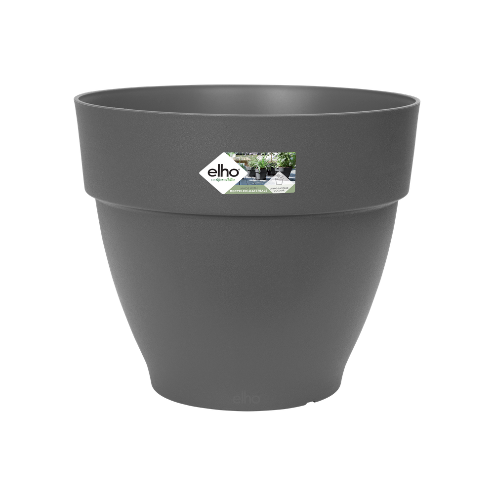 Vibiacampana Round 30