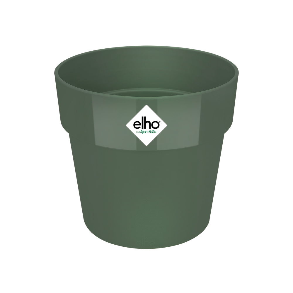 B.for Original Round 30