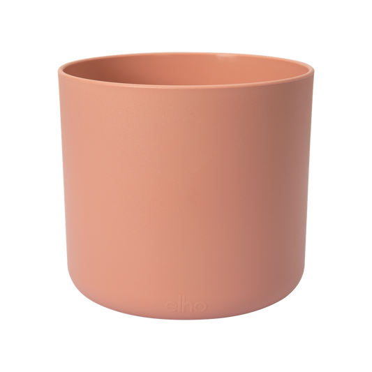 B.for Soft Round 18