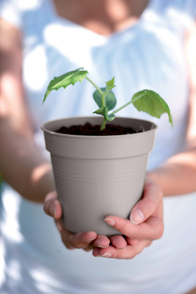 Green Basics Growpot 24