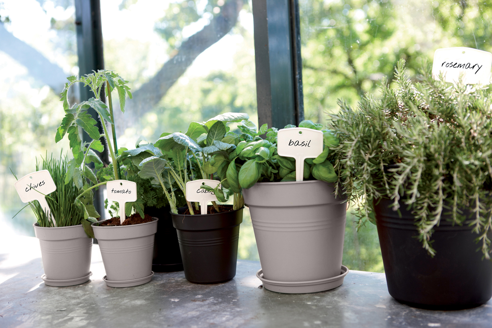 Green Basics Growpot 17