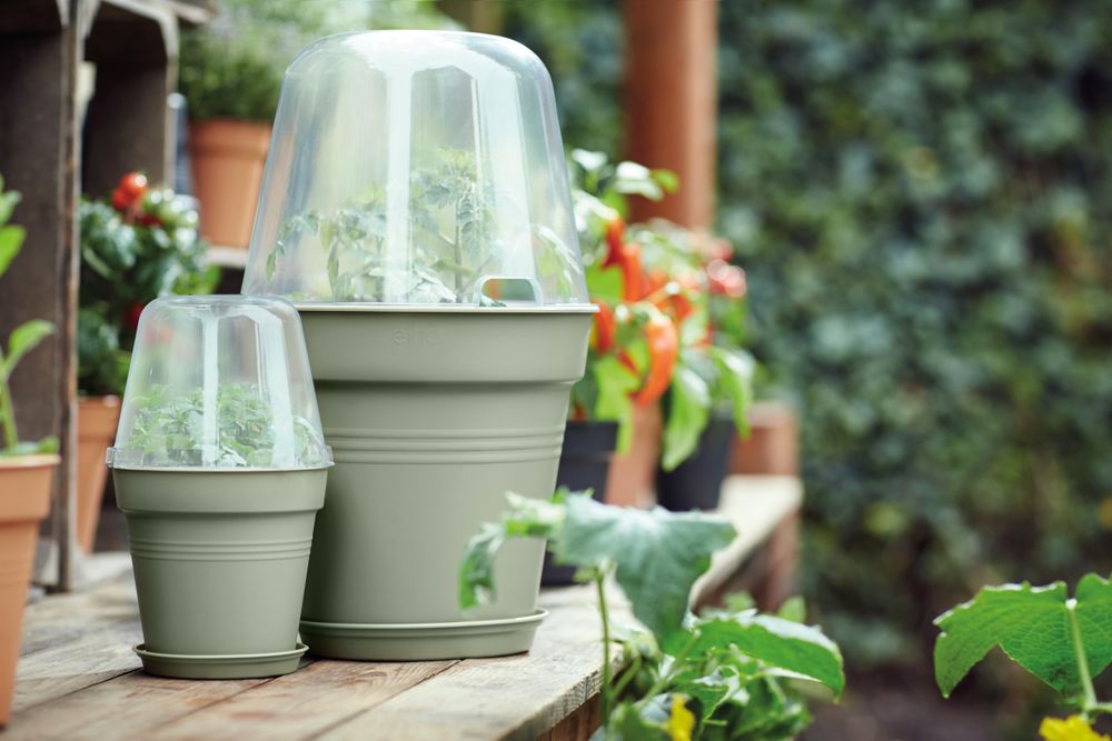 Green Basics Growpot 30