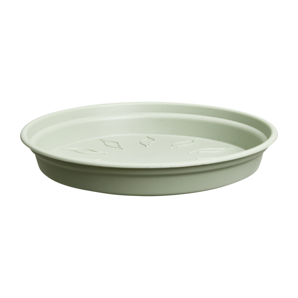 Green Basics Saucer 22