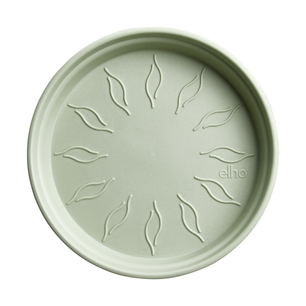 Green Basics Saucer 22