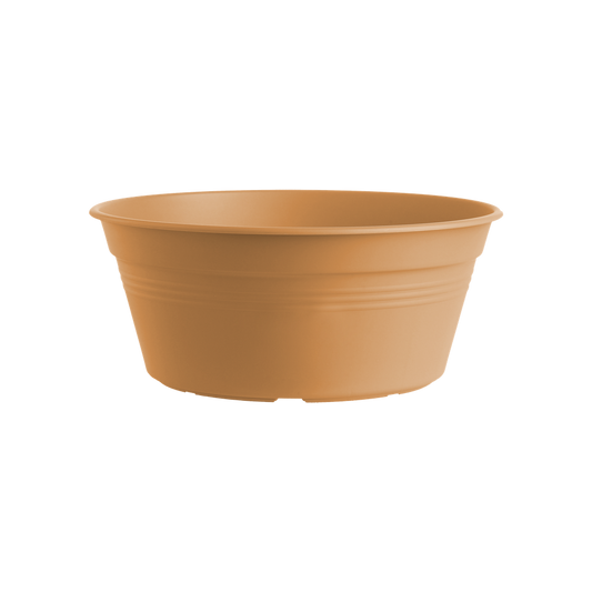 Green Basics Bowl 27