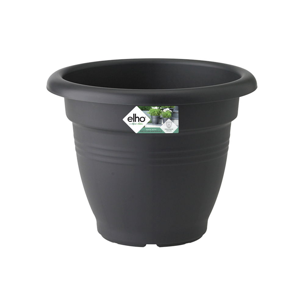 Green Basics Campana 50