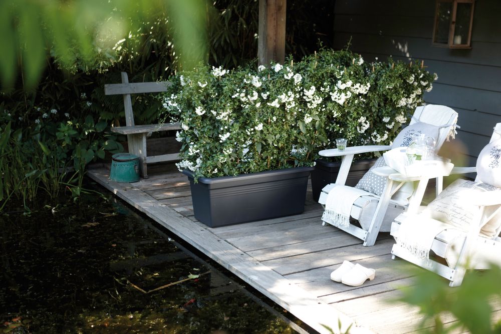 Green Basics Garden Xxl 100