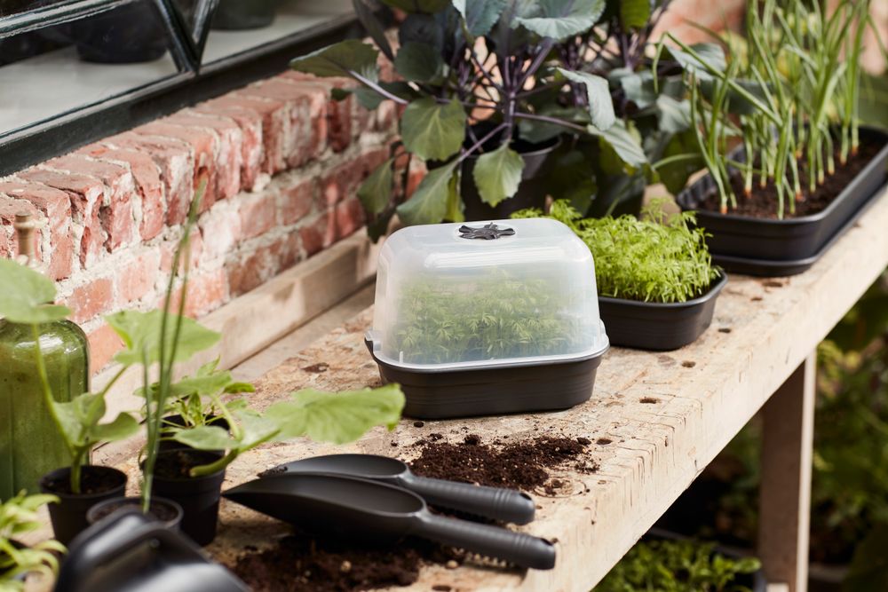 Green Basics Grow Tray S