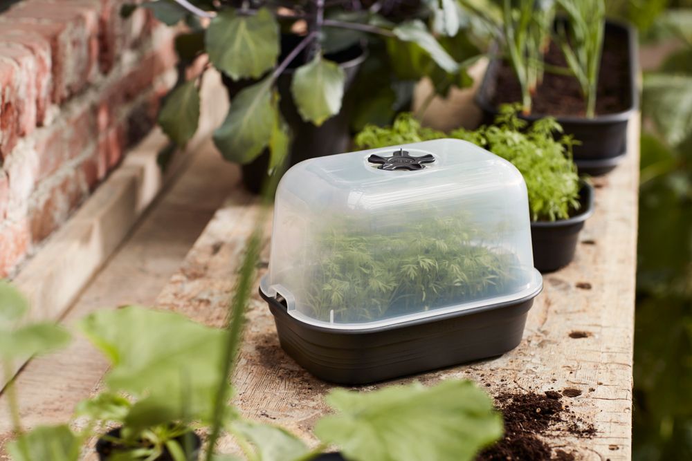 Green Basics Grow Tray Saucer S