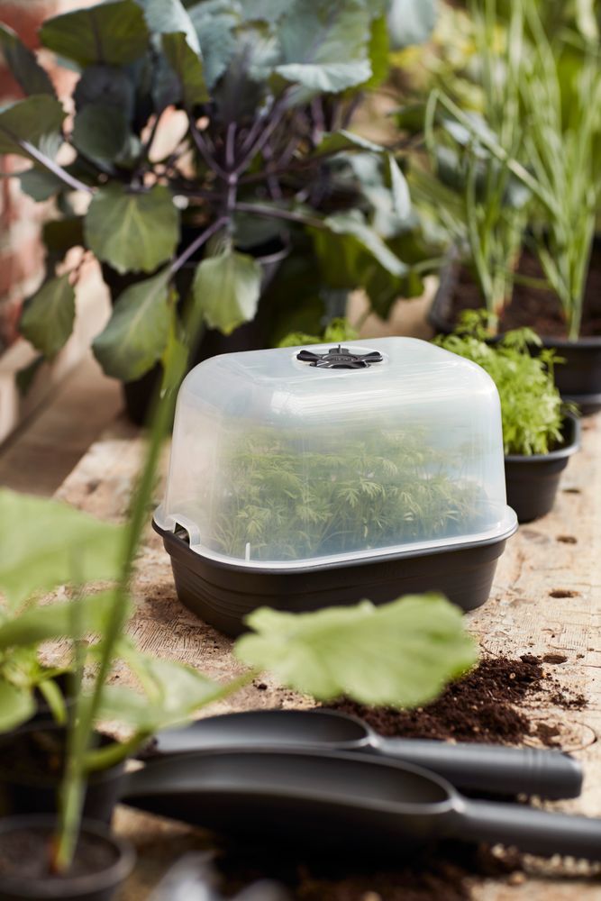 Green Basics Grow Tray Saucer S