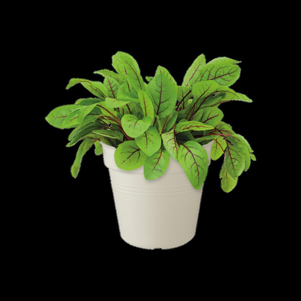 Green Basics Growpot 15