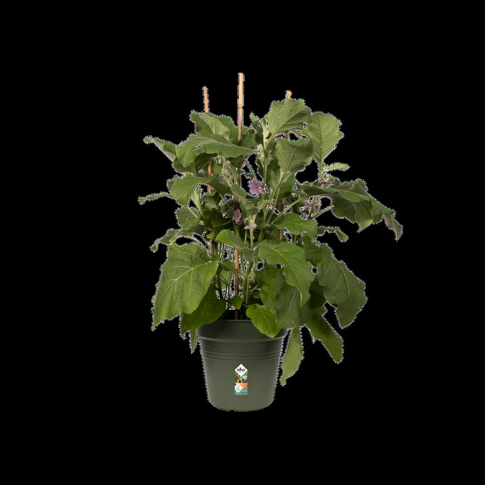 Green Basics Growpot 17