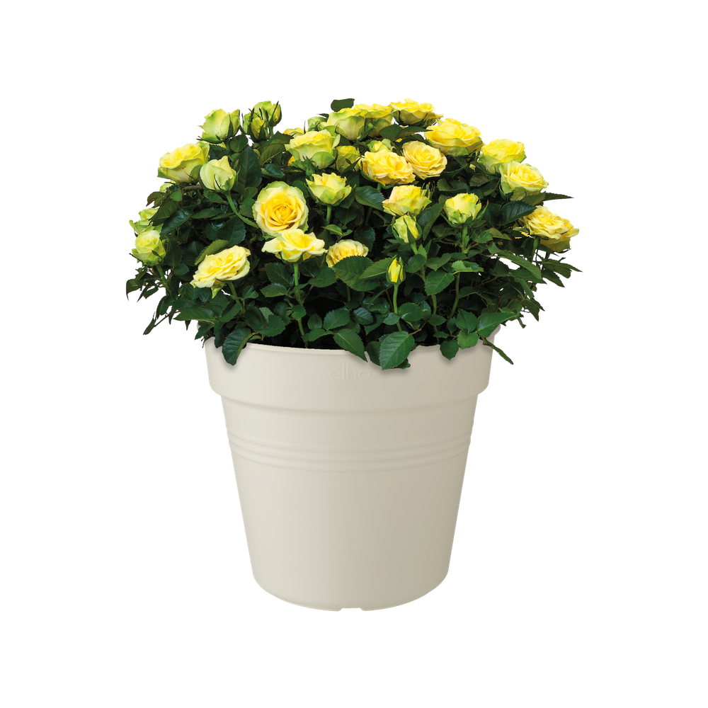 Green Basics Growpot 40