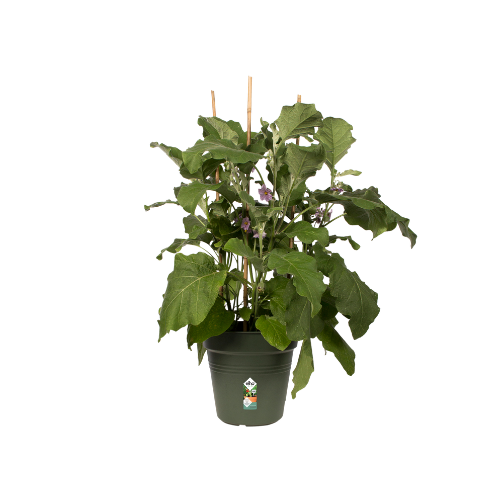 Green Basics Growpot 27