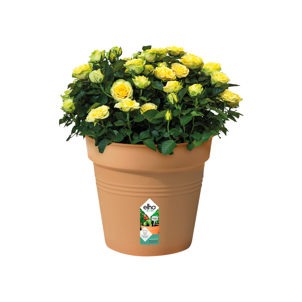 Green Basics Growpot 40