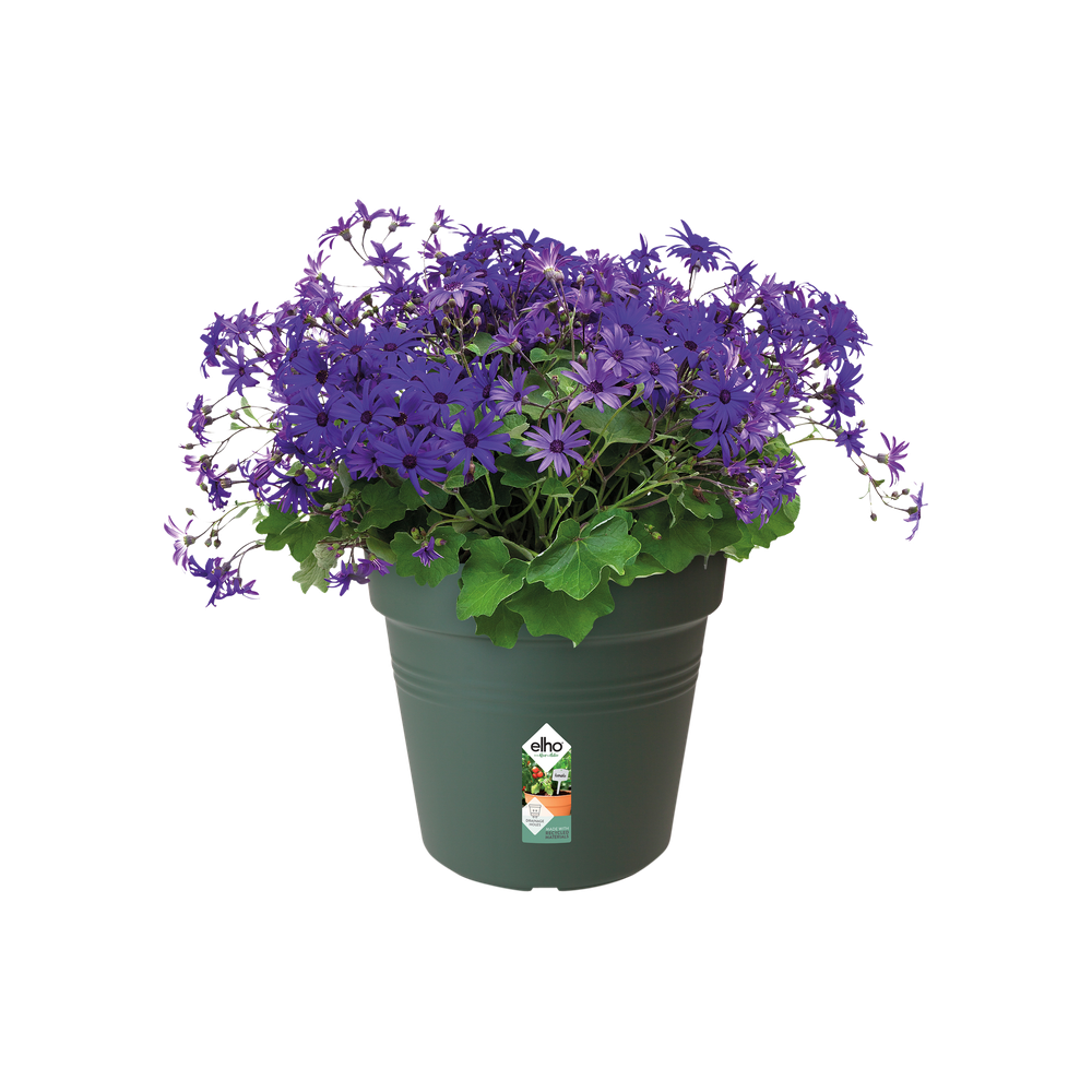 Green Basics Growpot 21