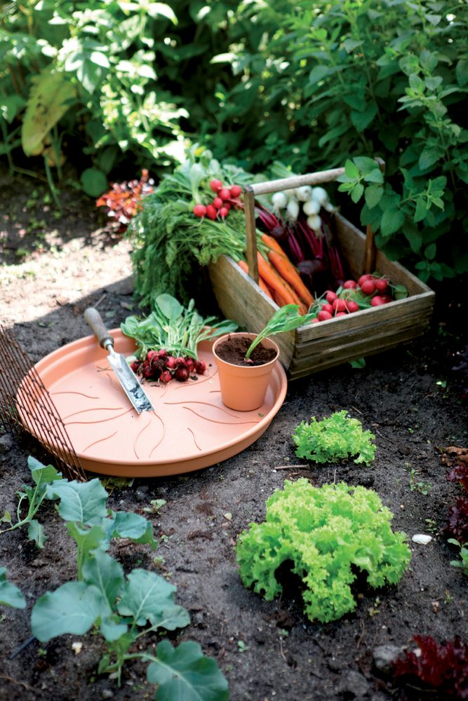 Green Basics Saucer 22