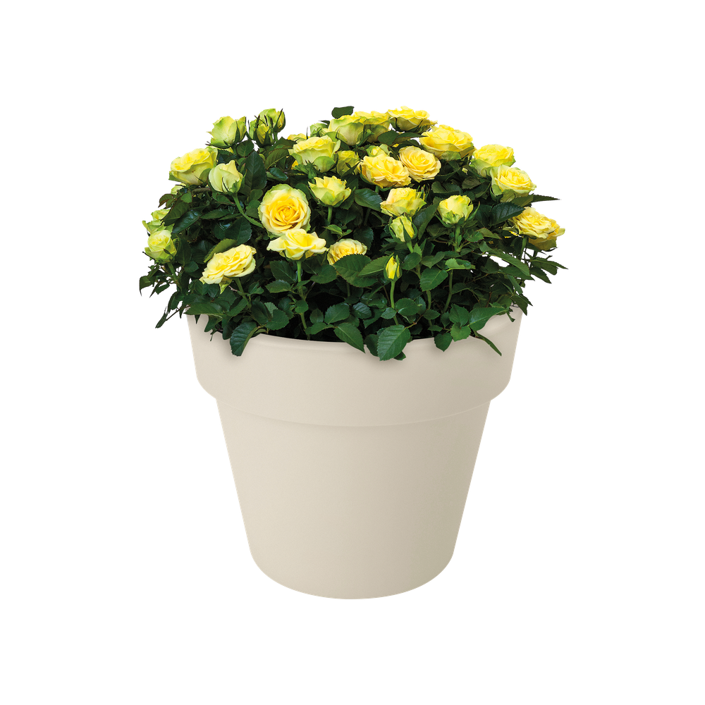 Green Basics Top Planter 40