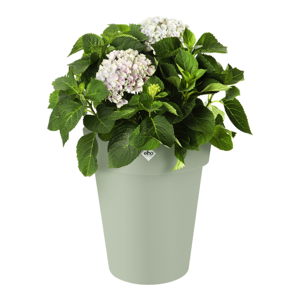Green Basics Top Planter High 35
