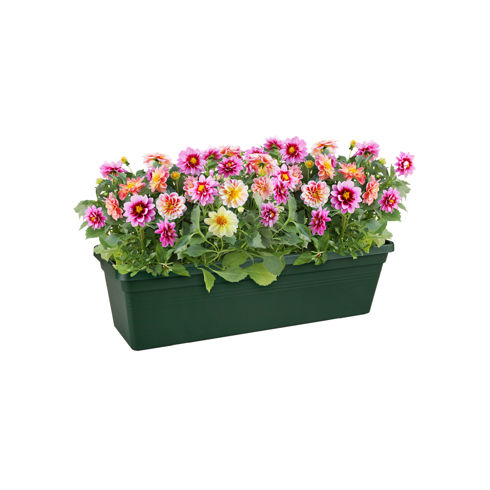 Green Basics Trough 80