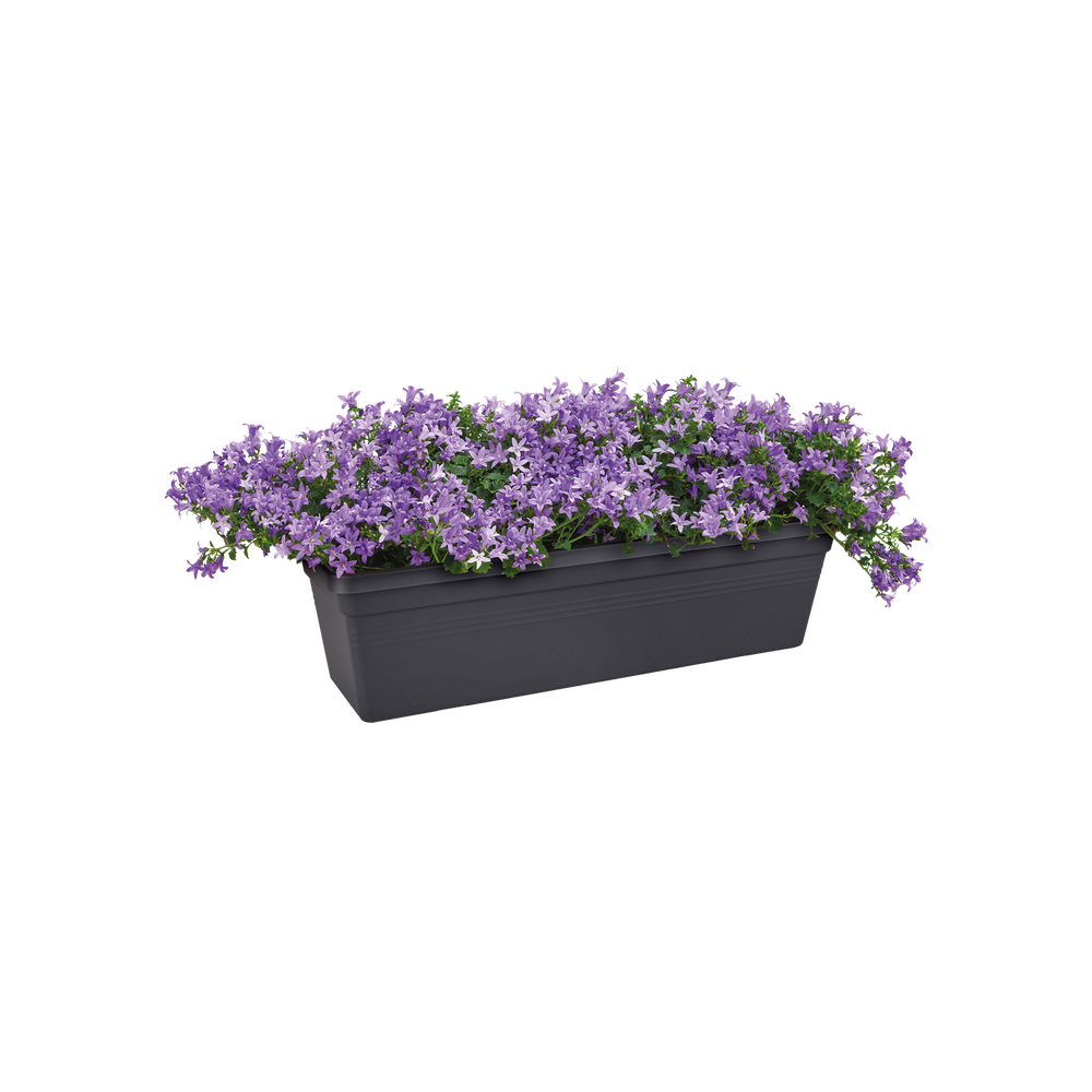 Green Basics Trough 60