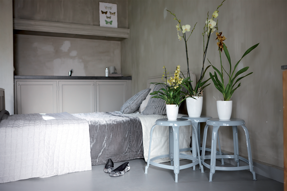 Brussels Diamond Orchid High 12,5