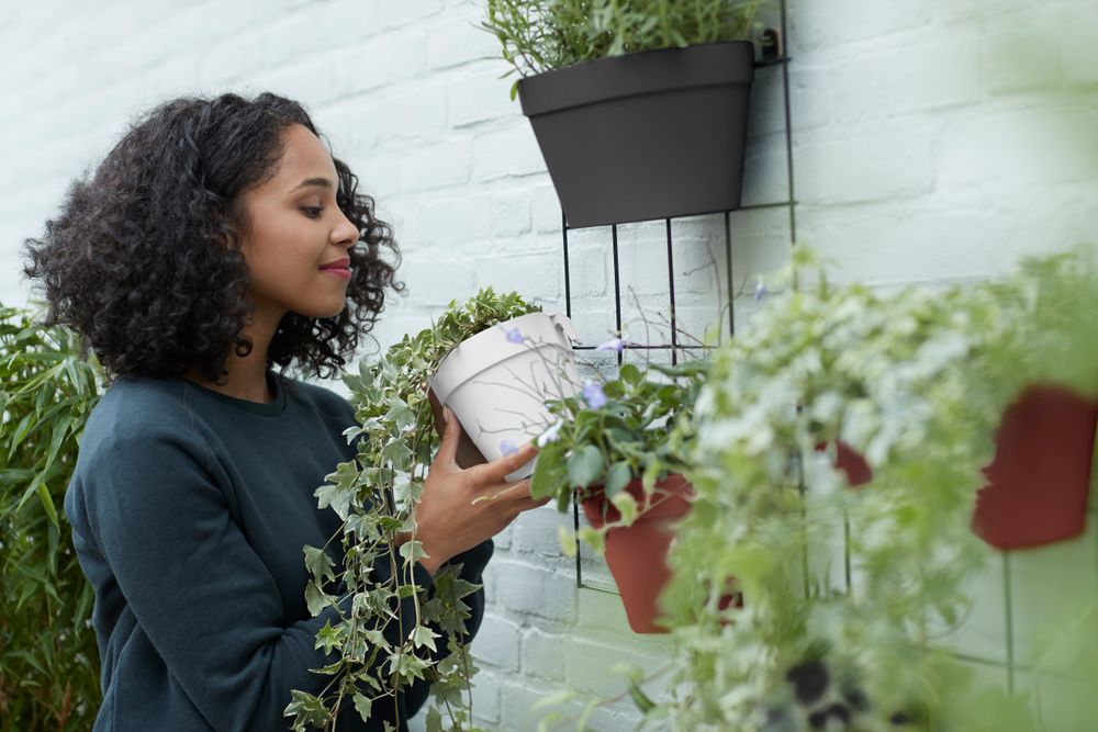 Loft Urban Green Wall Single 15
