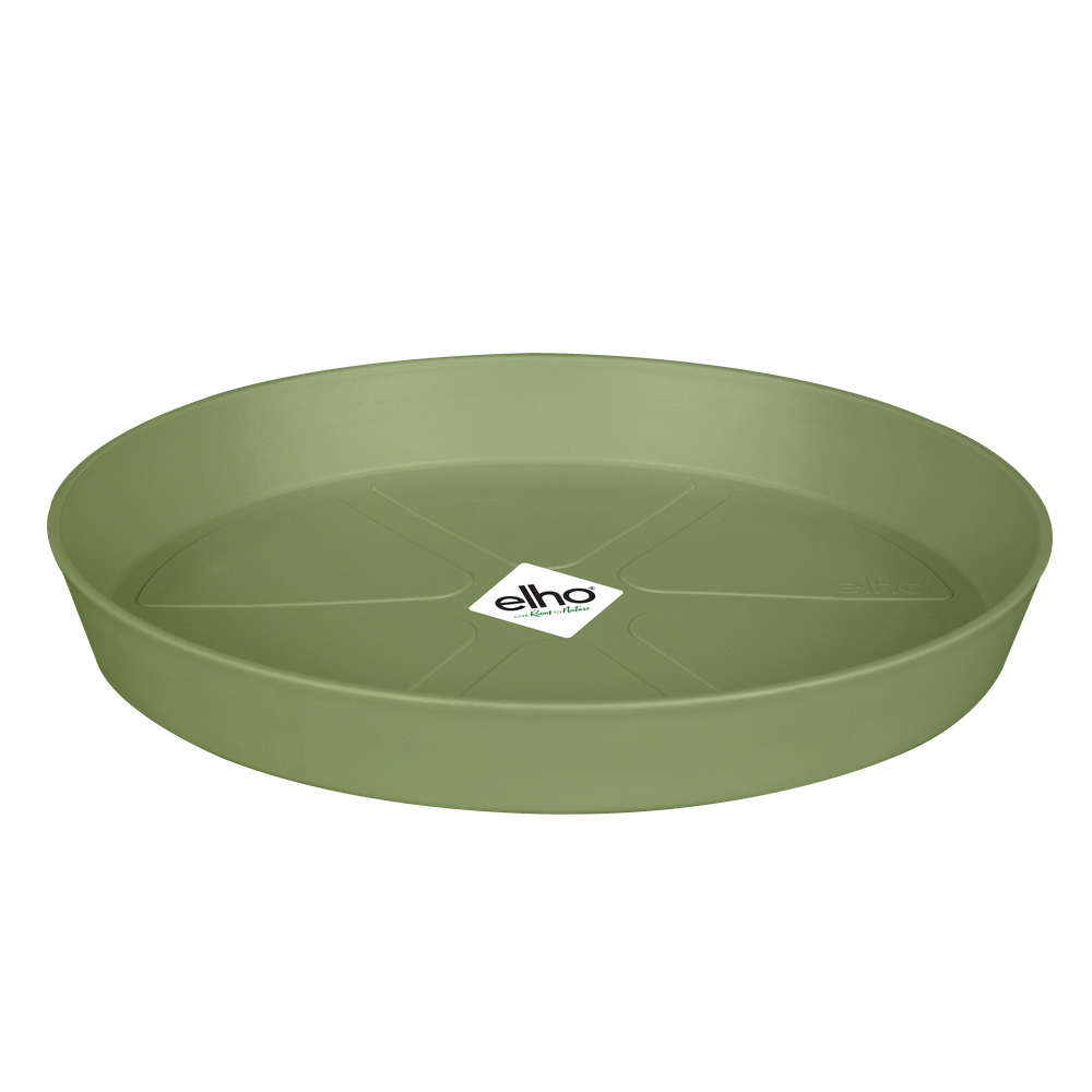 Loft Urban Saucer Round 24