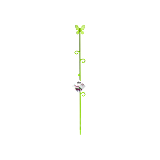 Orchideco Butterfly 53