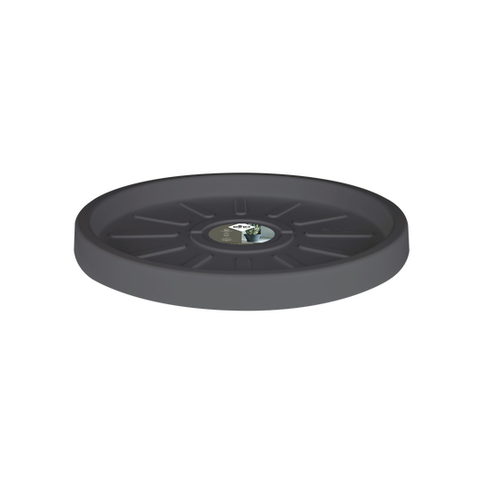 Pure Saucer 25