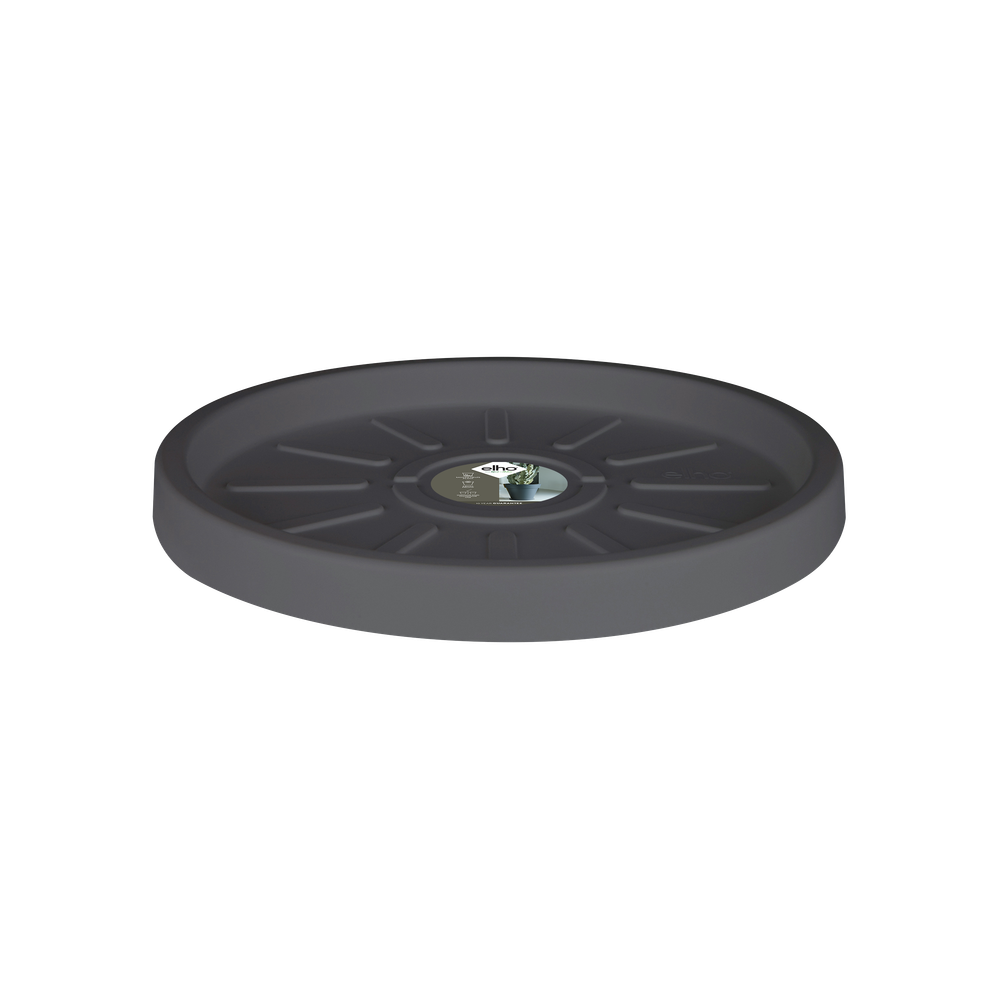 Pure Saucer 55