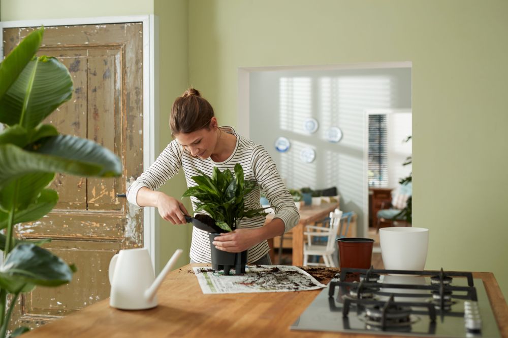 Self-watering Insert 13