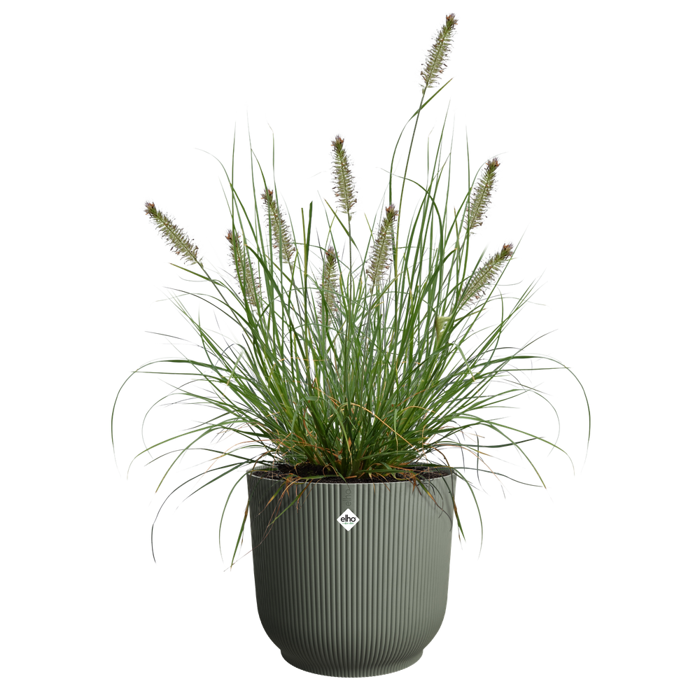 The Grass Collection Round 40