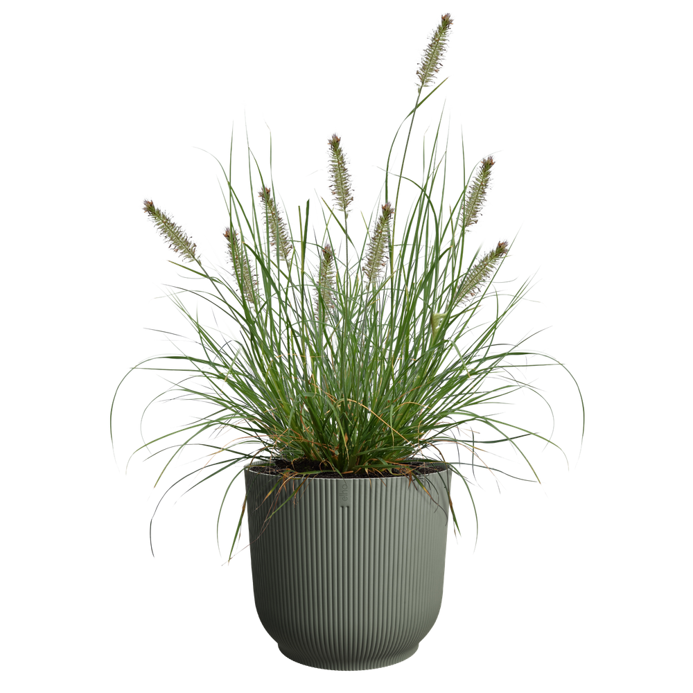 The Grass Collection Round 40