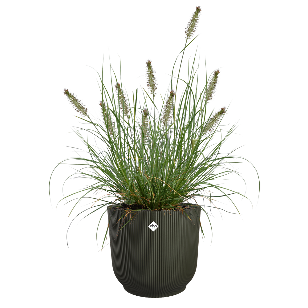 The Grass Collection Round 30