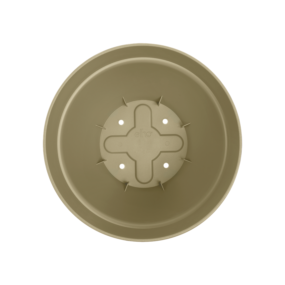 Vibiacampana Round 30
