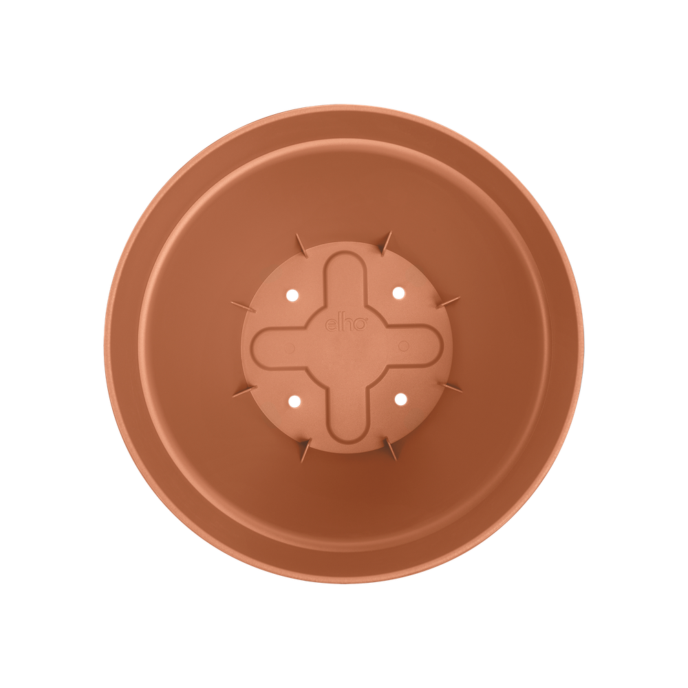Vibiacampana Round 30