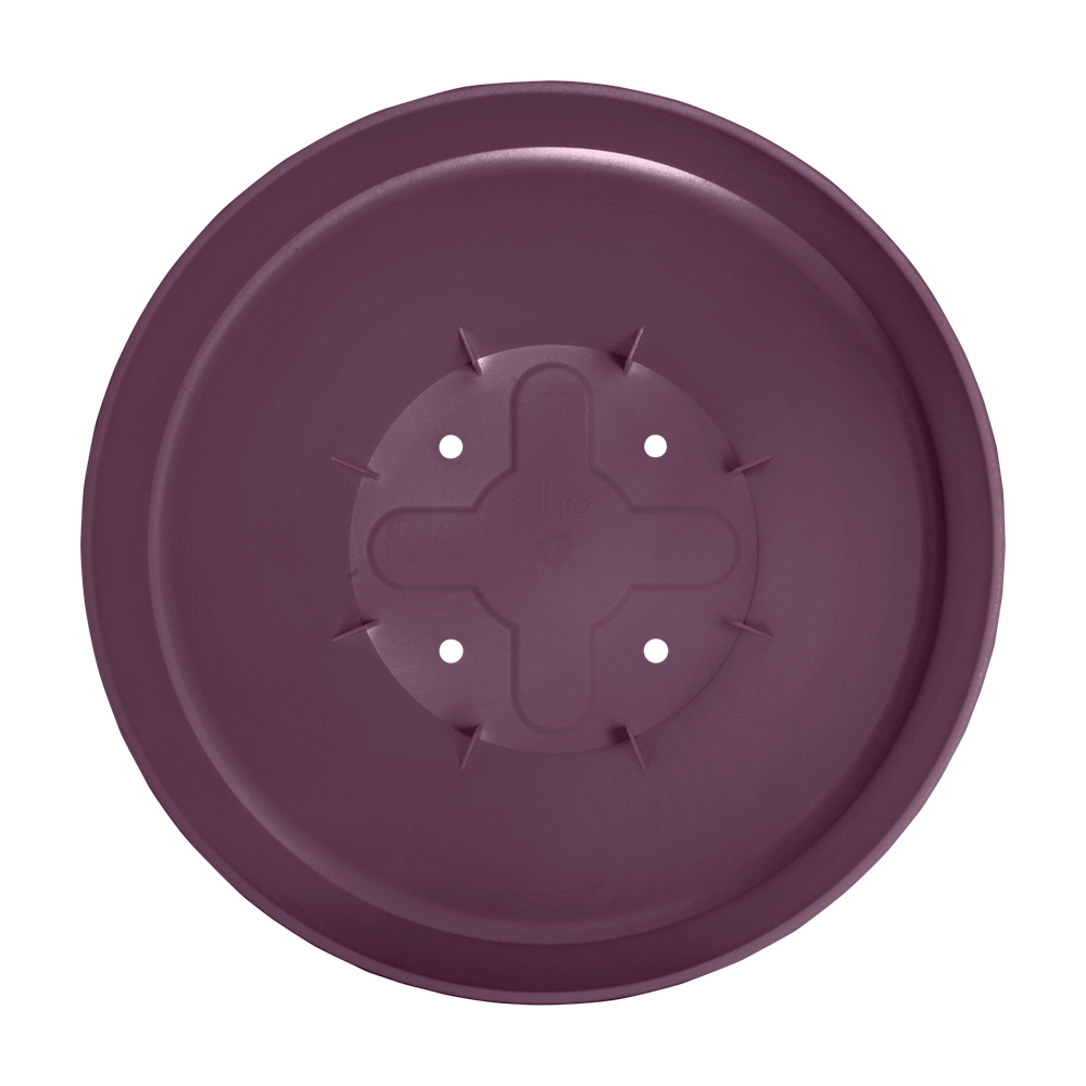 Vibiacampana Round 30