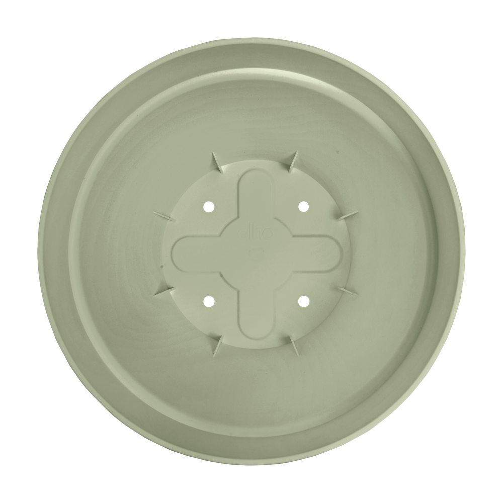 Vibiacampana Round 30