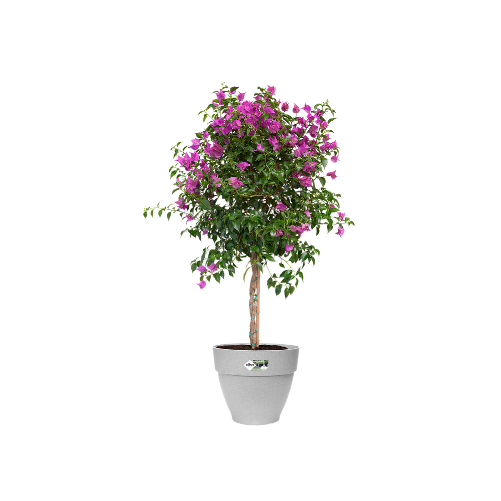 Vibia Camapan Round 55